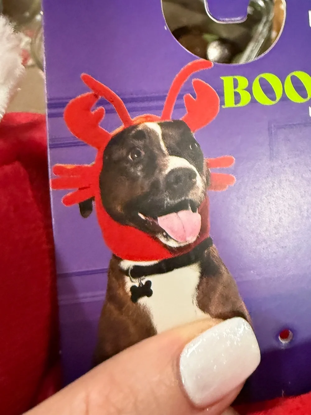 Petco soft plush